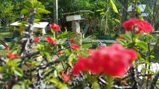 Trigona Chalet Hotel Marang Exterior foto